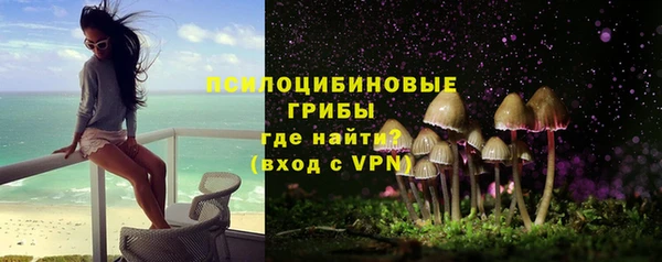 гашик Липки