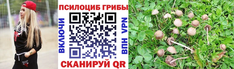 Псилоцибиновые грибы прущие грибы  Купить где  Новоульяновск 